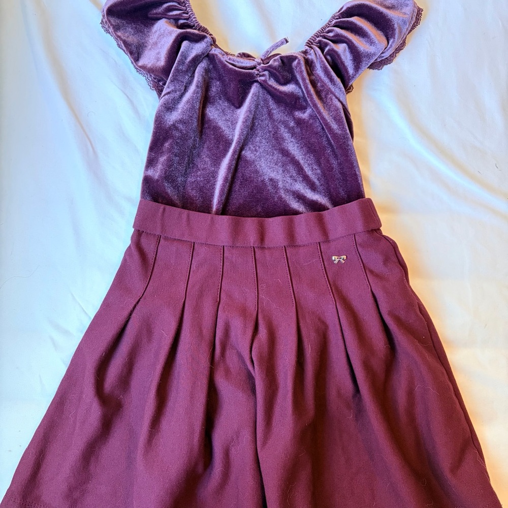 Zara Plum Top and Skirt Set